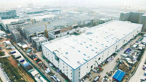 厦门跑出一个300亿独角兽,由两位80后联手打造