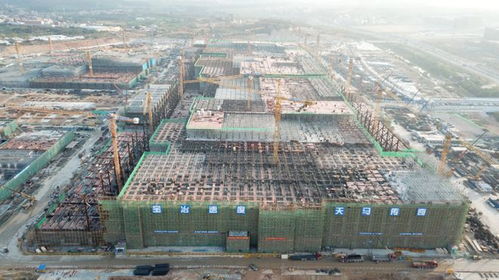 助力产业 栽好梧桐引凤来丨市质安站 砥砺奋进四十载 筑安为民质安人 系列报道之⑧
