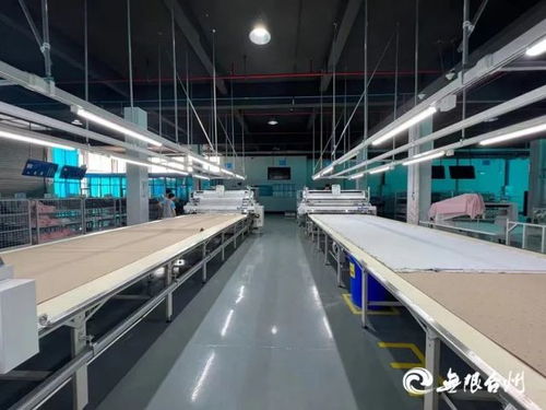台州杰克在杭州建了家 神秘工厂 ,投产5个月后首揭面纱